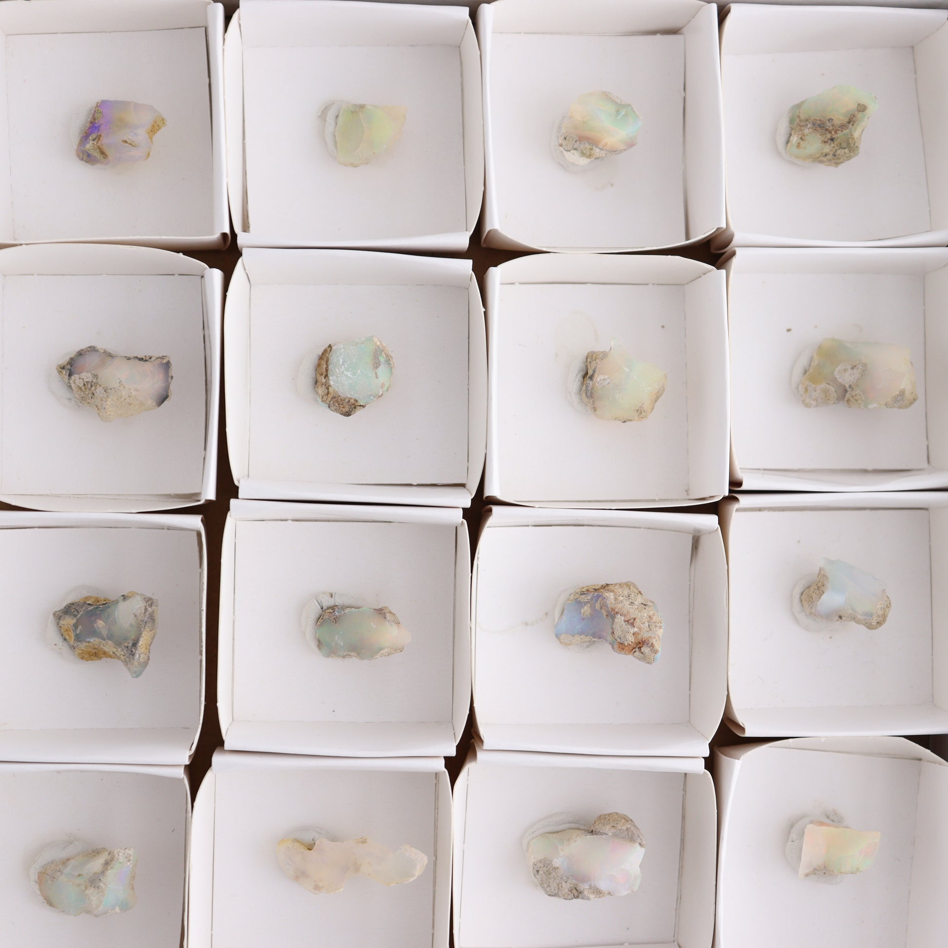 Ethiopian Opal Set of 24 - Expert Wholesale and Supplier of Wholesale Crystals & Bulk Gemstones, ["Ethiopia","ethiopian opal","Opal"]