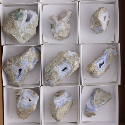 Blue Lace Agate Freeforms Set of 12