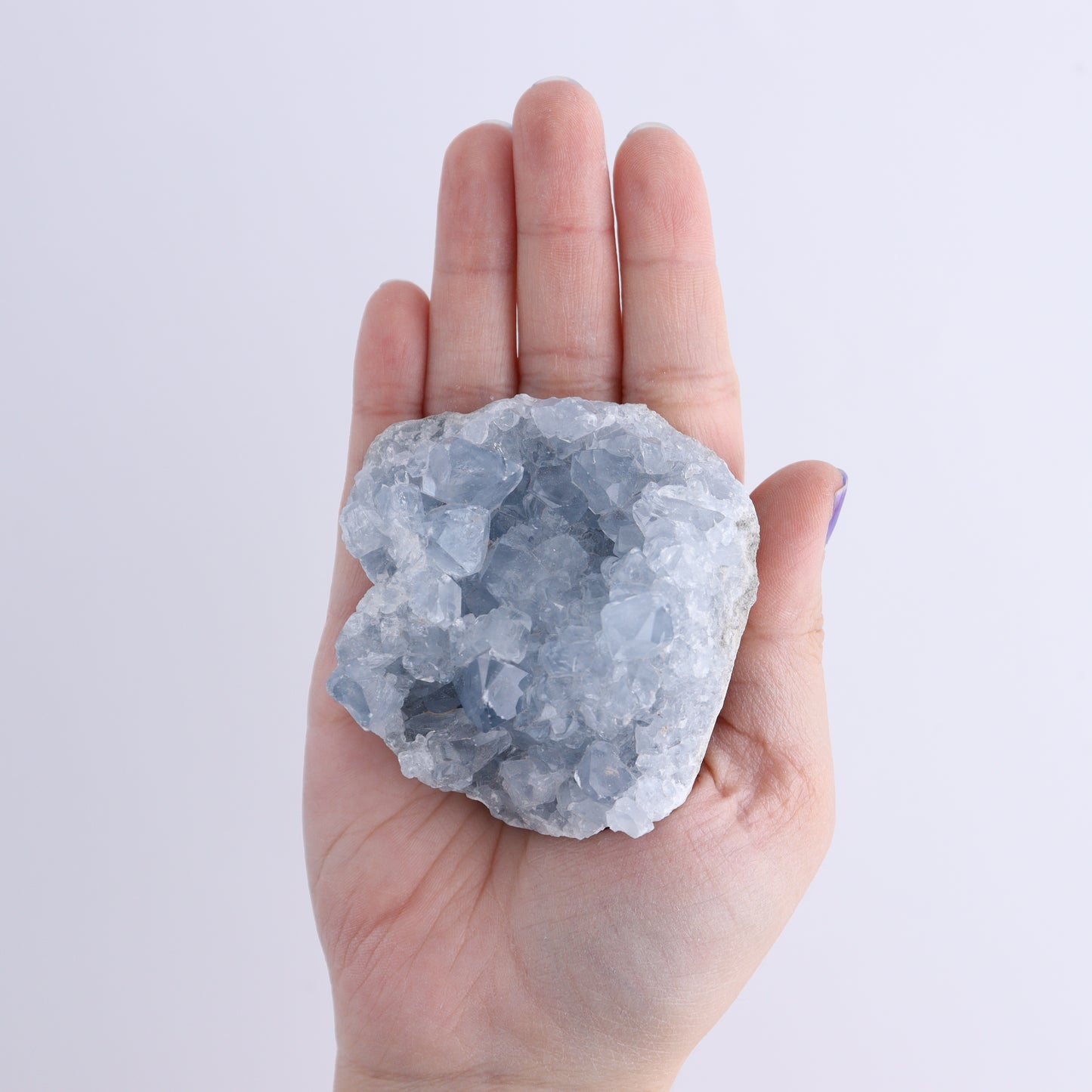 Celestite Clusters Set of 8 - Expert Wholesale and Supplier of Wholesale Crystals & Bulk Gemstones, ["Celestite","Freeform"]