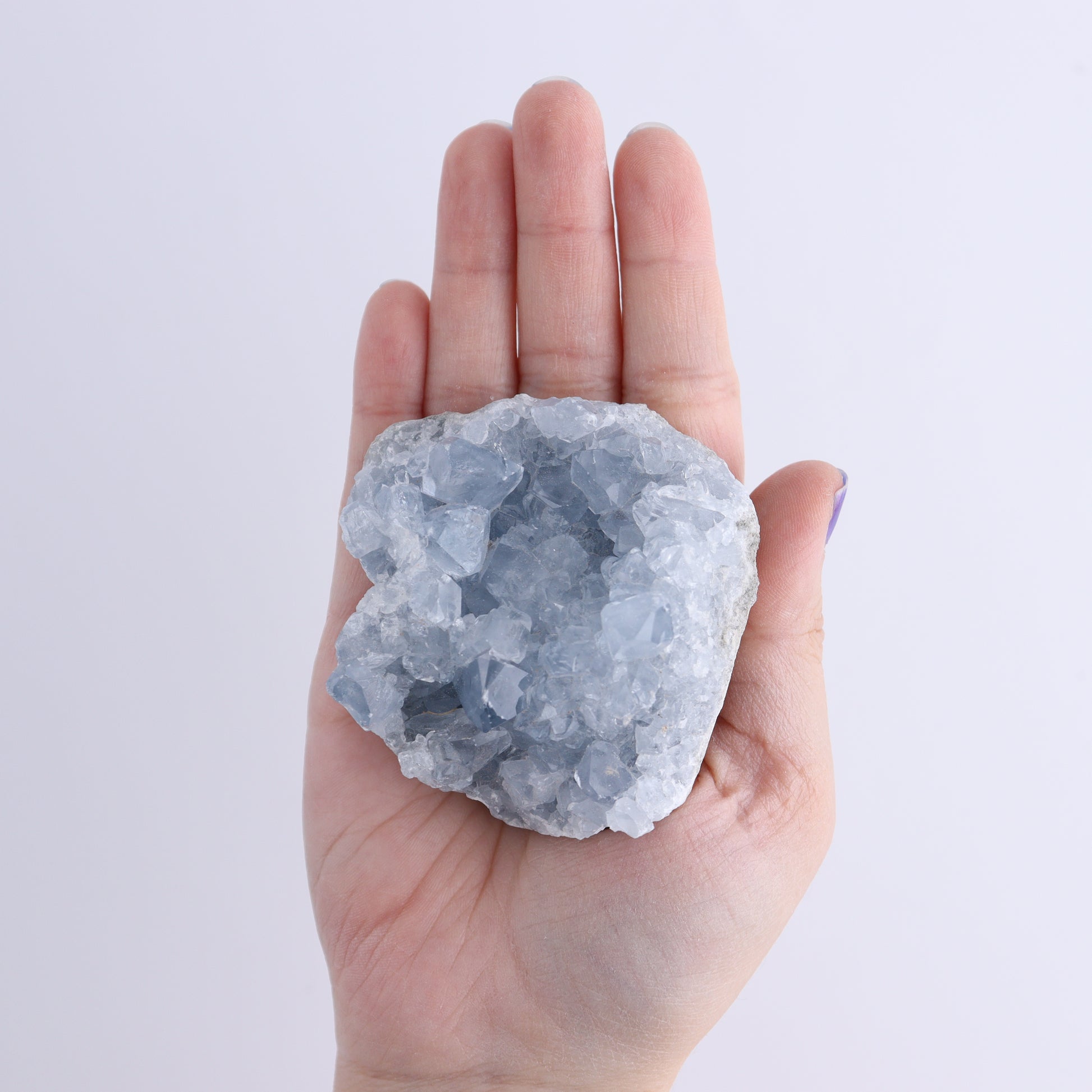 Celestite Clusters Set of 8 - Expert Wholesale and Supplier of Wholesale Crystals & Bulk Gemstones, ["Celestite","Freeform"]