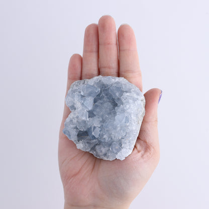 Celestite Clusters Set of 8 - Expert Wholesale and Supplier of Wholesale Crystals & Bulk Gemstones, ["Celestite","Freeform"]