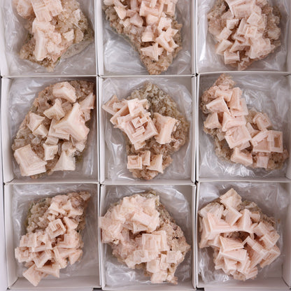 Halite on Trona from Owens Lake Set of 12 - Expert Wholesale and Supplier of Wholesale Crystals & Bulk Gemstones, ["California","Flats","Halite","halite on trona","Pink Halite","United States"]