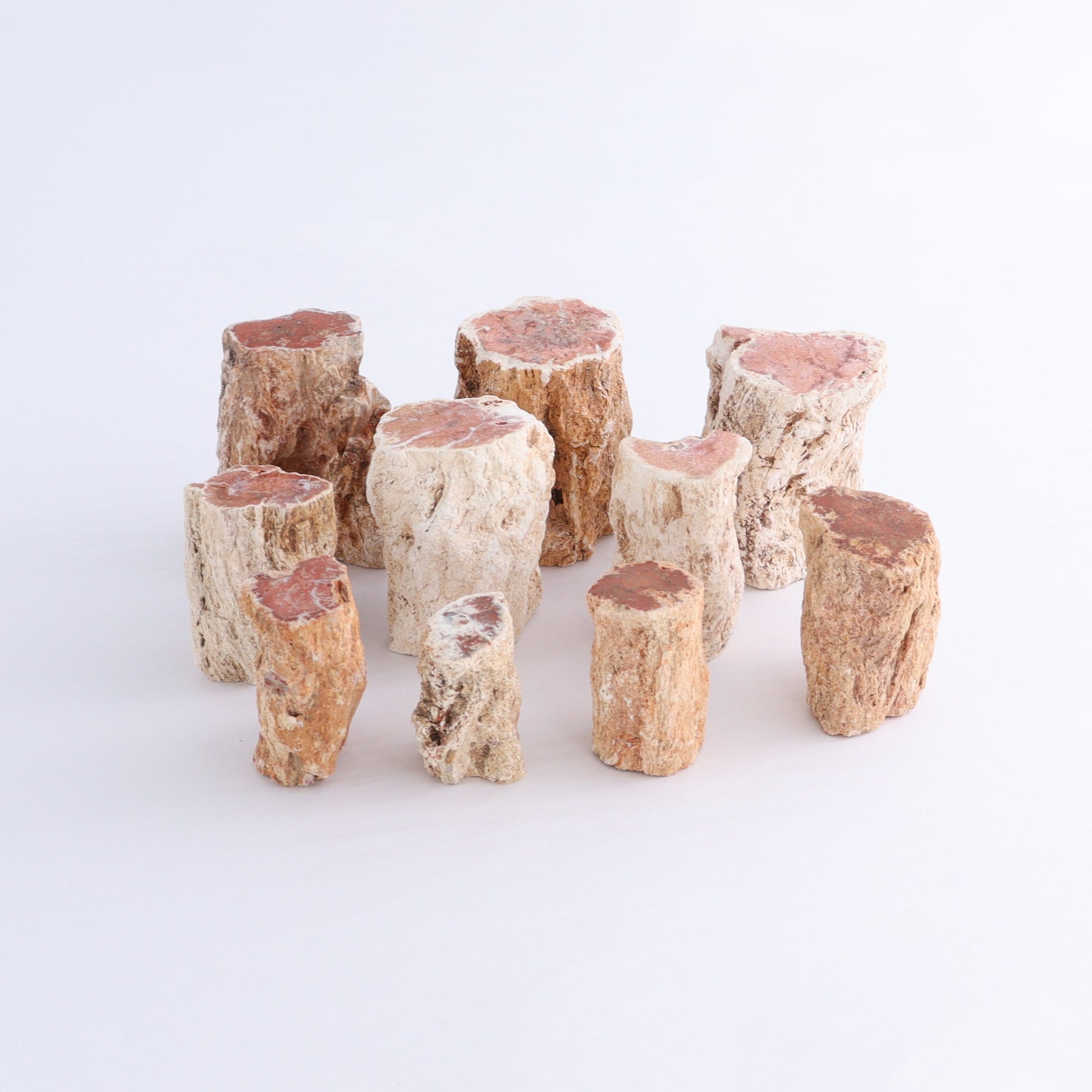 Petrified Wood Cut Bases Set of 10 - Expert Wholesale and Supplier of Wholesale Crystals & Bulk Gemstones, ["Cut Base","Petrified Wood"]