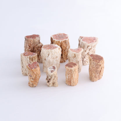 Petrified Wood Cut Bases Set of 10 - Expert Wholesale and Supplier of Wholesale Crystals & Bulk Gemstones, ["Cut Base","Petrified Wood"]