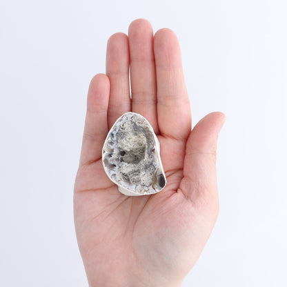 Agate Geodes Flat - Expert Wholesale and Supplier of Wholesale Crystals & Bulk Gemstones, ["Agate","Geodes"]