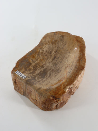 Petrified Wood Bowl