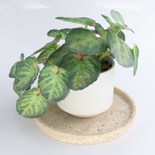 One Travertine Round Dish Large - Expert Wholesale and Supplier of Wholesale Crystals & Bulk Gemstones, ["Catalog Onyx","Decorative Dish","Mexico","Travertine"]