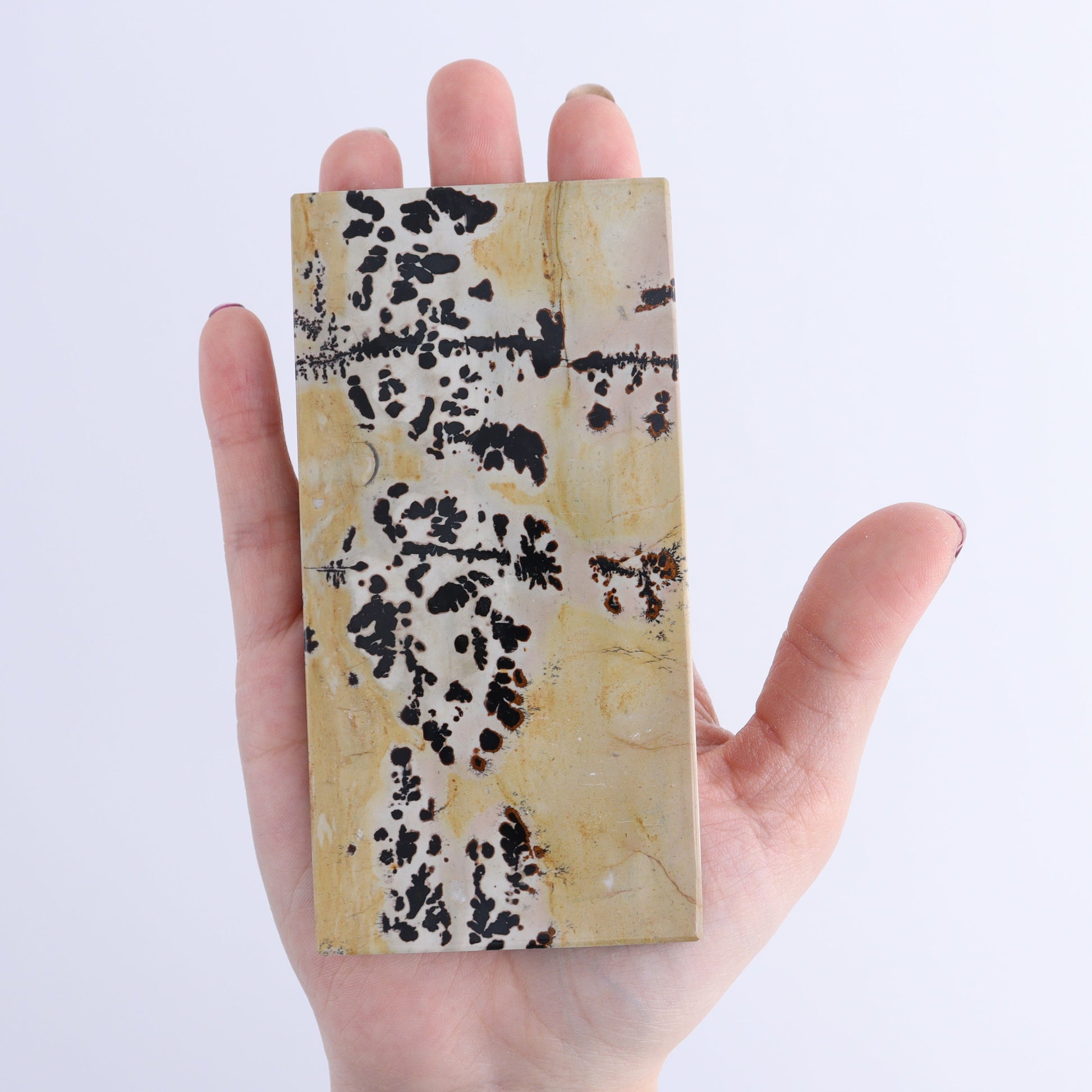Picture Jasper Slabs of 6 - Expert Wholesale and Supplier of Wholesale Crystals & Bulk Gemstones, ["China","Picture Jasper","Slices and Slabs"]