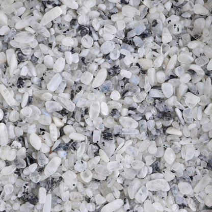 Rainbow Moonstone Chips 1 kg Set - Expert Wholesale and Supplier of Wholesale Crystals & Bulk Gemstones, ["Chips","Moonstone","Rainbow Moonstone"]