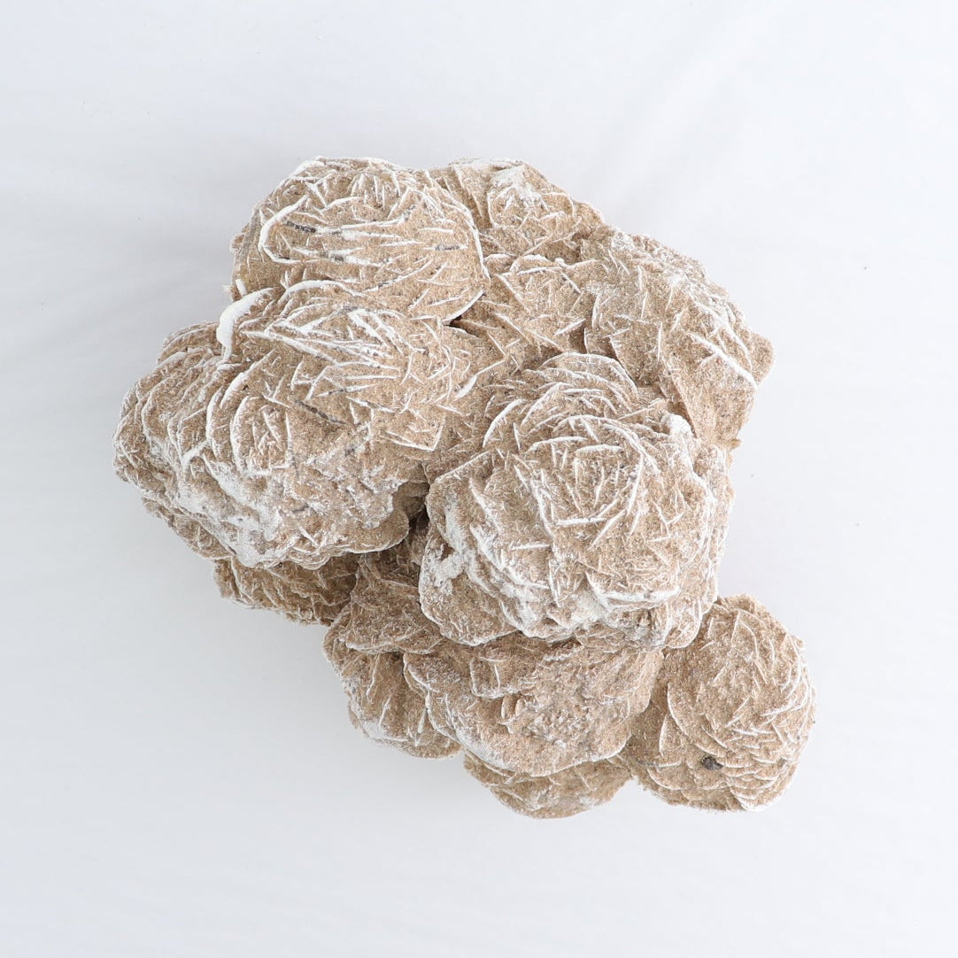 Desert Rose Set of 2