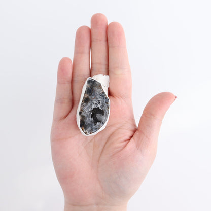Agate Geodes Flat