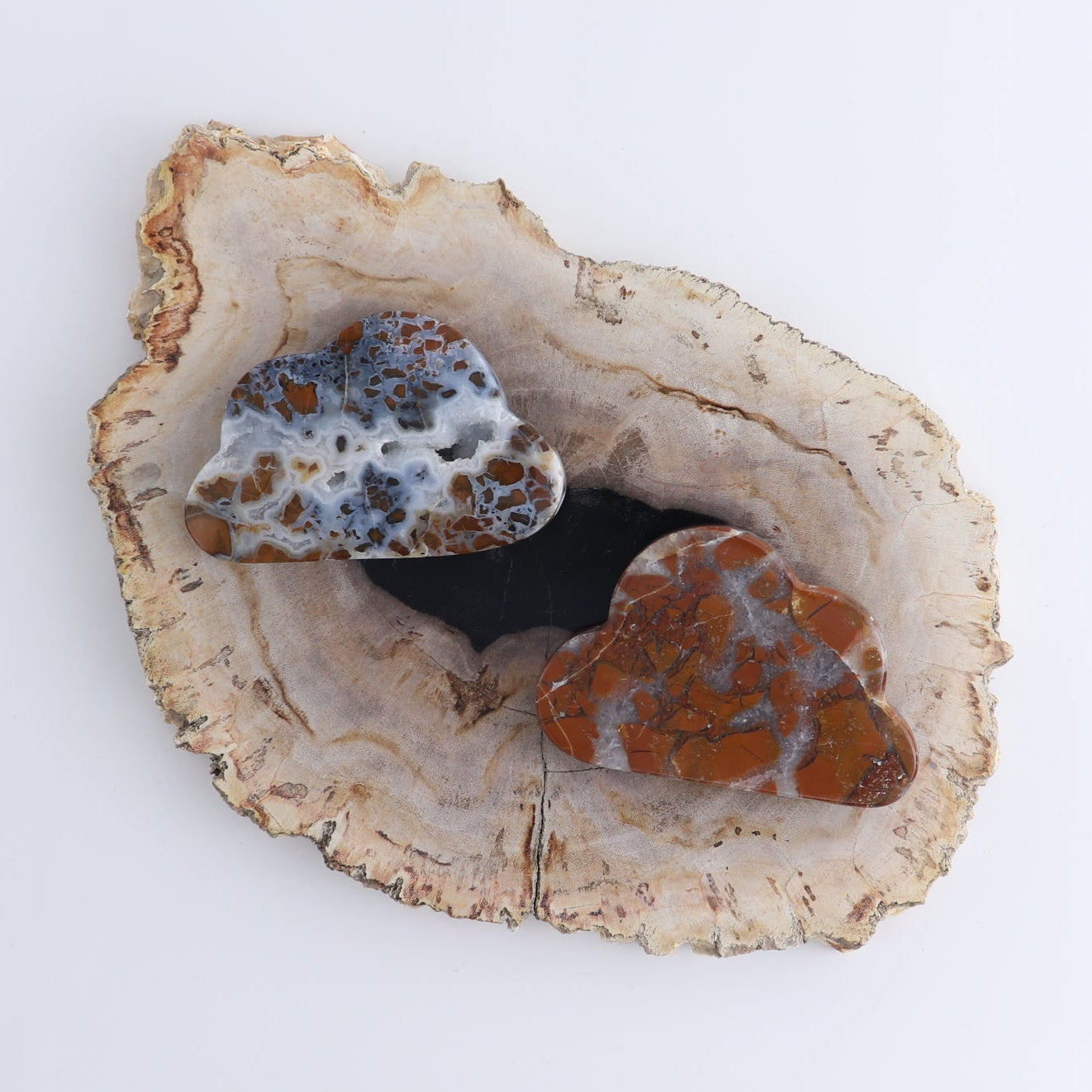One Cloud Brecciated Jasper | Mi Esperanza Minerals | Supplier of Crystals and Onyx