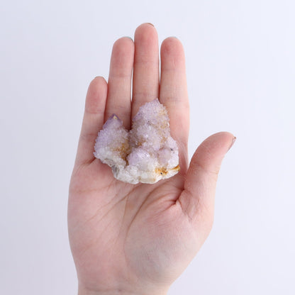 Cactus Quartz Set of 11