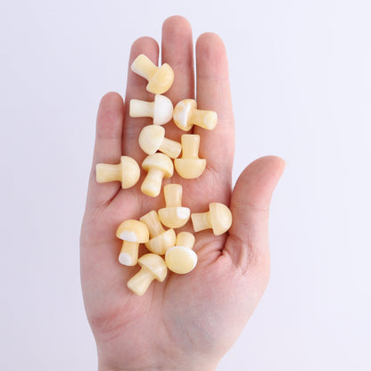 50 pcs Orange Calcite Mini Mushrooms - Expert Wholesale and Supplier of Wholesale Crystals & Bulk Gemstones, ["Calcite","Mushrooms","Orange Calcite"]