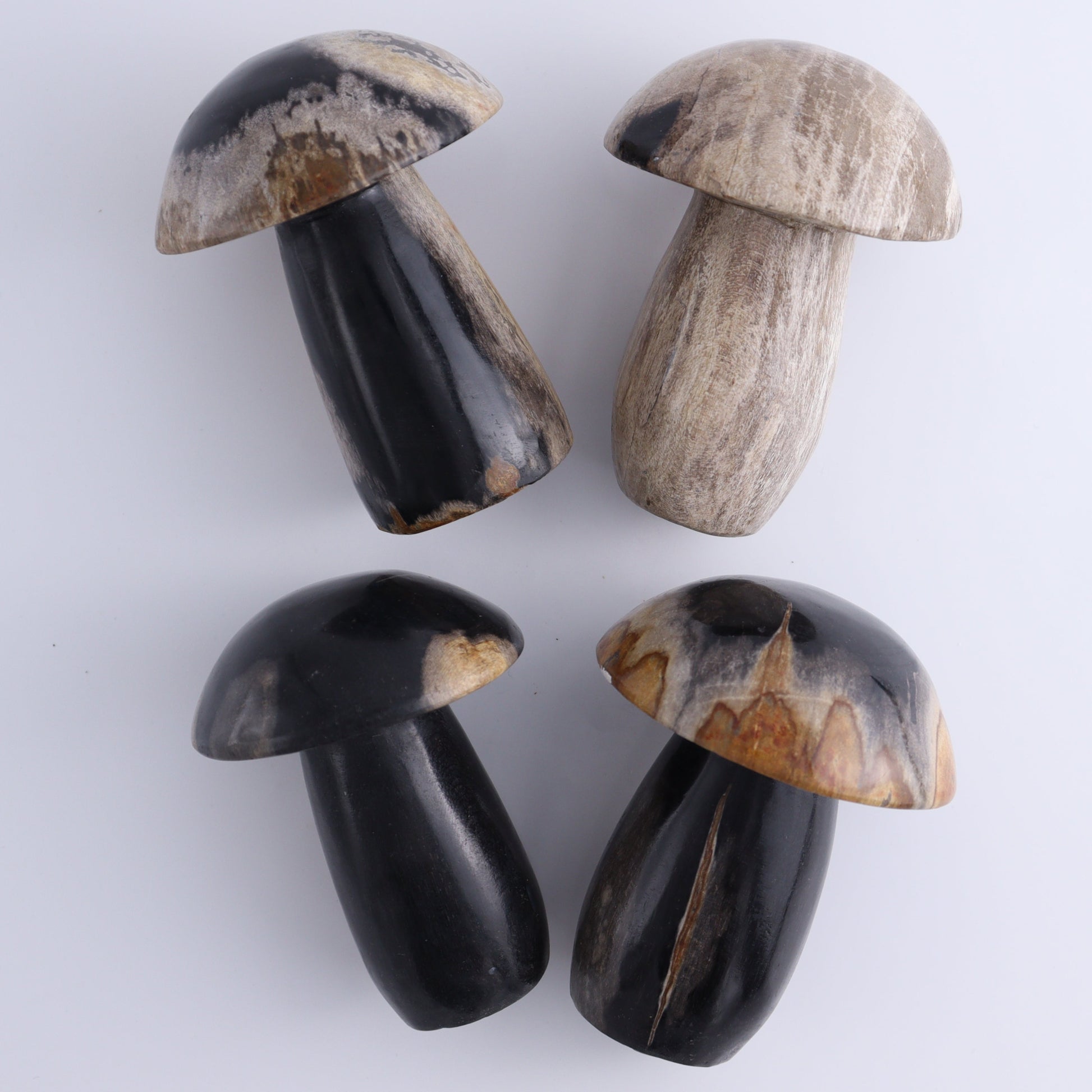 Petrified Wood Mushrooms Set of 4 - Expert Wholesale and Supplier of Wholesale Crystals & Bulk Gemstones, ["Indonesia","Mushrooms","Petrified Wood"]