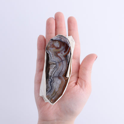 Crazy Lace Agate Flat of 15 - Expert Wholesale and Supplier of Wholesale Crystals & Bulk Gemstones, ["Crazy Lace Agate","Mexico"]
