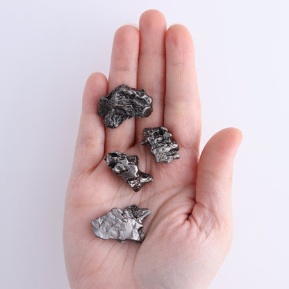 Campos del Cielo Meteorites Set of 8 - Expert Wholesale and Supplier of Wholesale Crystals & Bulk Gemstones, ["Campos del Cielo Meteorites","Meteorite","Rough","Roughs"]