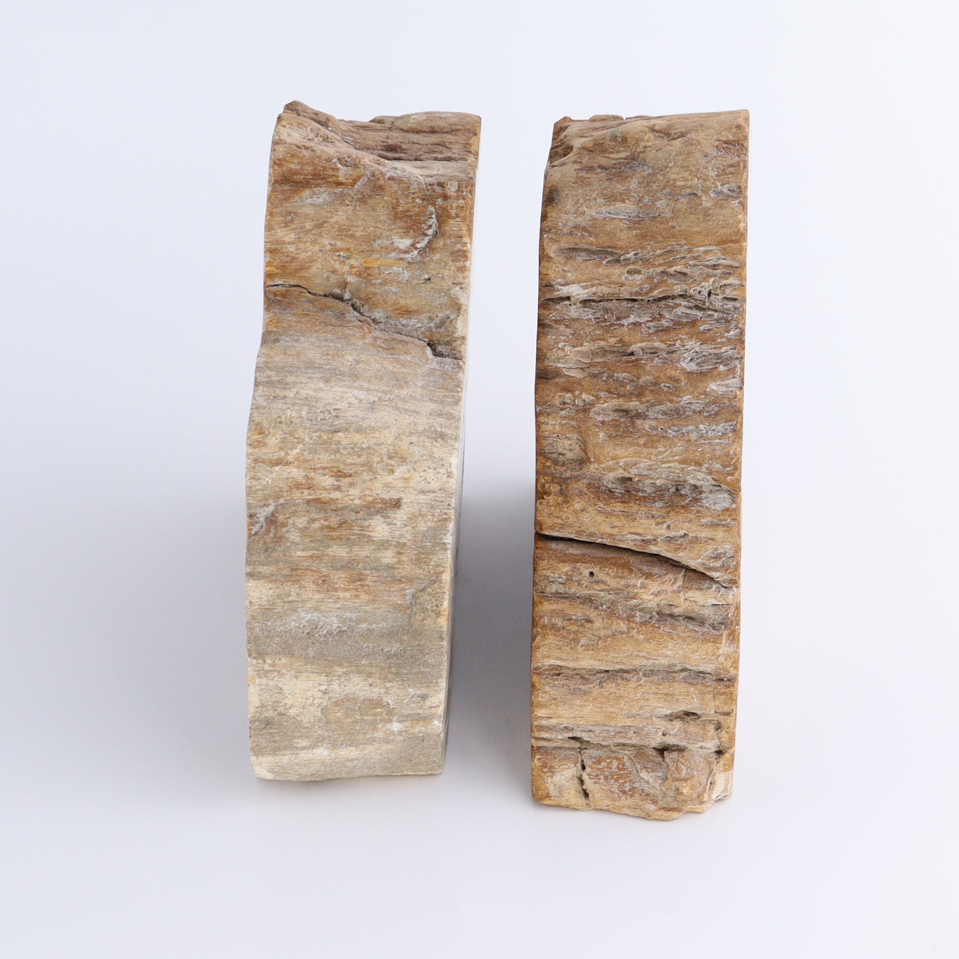Bookends Petrified Wood - Expert Wholesale and Supplier of Wholesale Crystals & Bulk Gemstones, ["Bookends","Indonesia","Petrified Wood"]