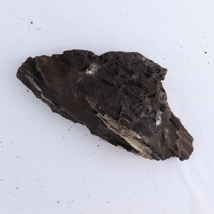 Permineralized Wood Flat of 5 - Expert Wholesale and Supplier of Wholesale Crystals & Bulk Gemstones, ["Indonesia","Permineralized Wood"]