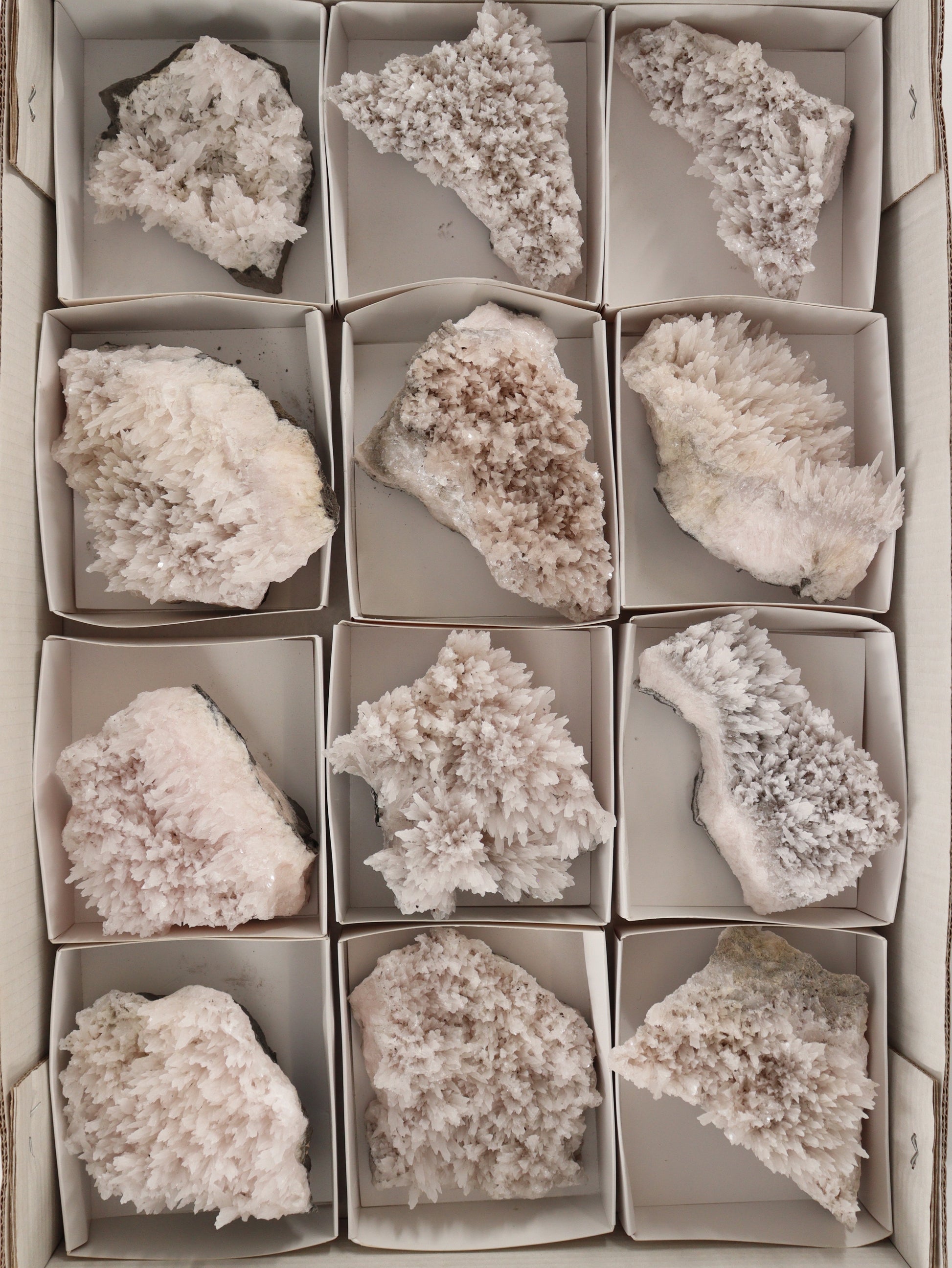 Mangano Calcite Flat Set of 12 - Expert Wholesale and Supplier of Wholesale Crystals & Bulk Gemstones, []