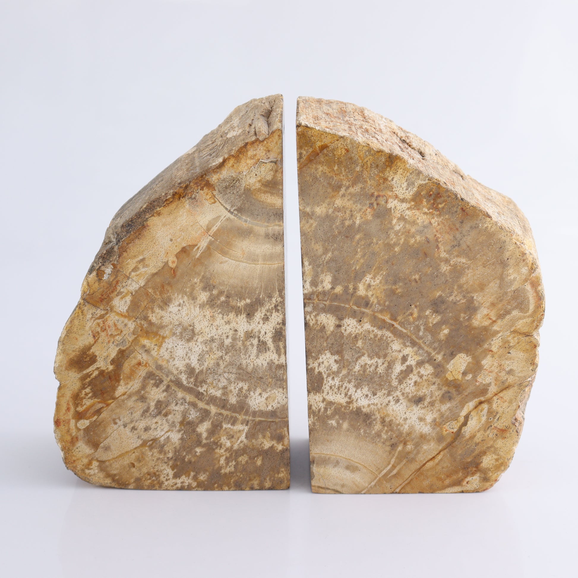 Bookends Petrified Wood - Expert Wholesale and Supplier of Wholesale Crystals & Bulk Gemstones, ["Bookends","Indonesia","Petrified Wood"]