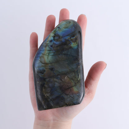 Labradorite Freeform Set of 3