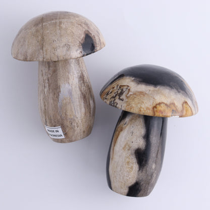 Petrified Wood Mushrooms Set of 4 - Expert Wholesale and Supplier of Wholesale Crystals & Bulk Gemstones, ["Indonesia","Mushrooms","Petrified Wood"]