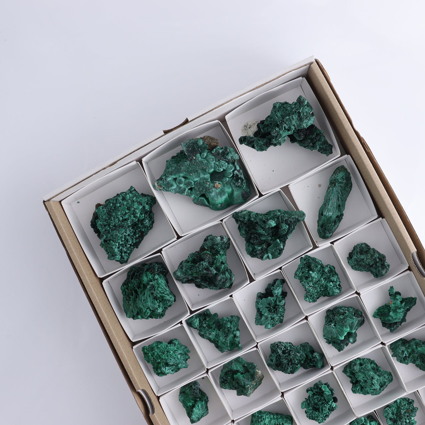 Malachite Flat of 34 - Expert Wholesale and Supplier of Wholesale Crystals & Bulk Gemstones, ["Congo","Flats","Malachite"]