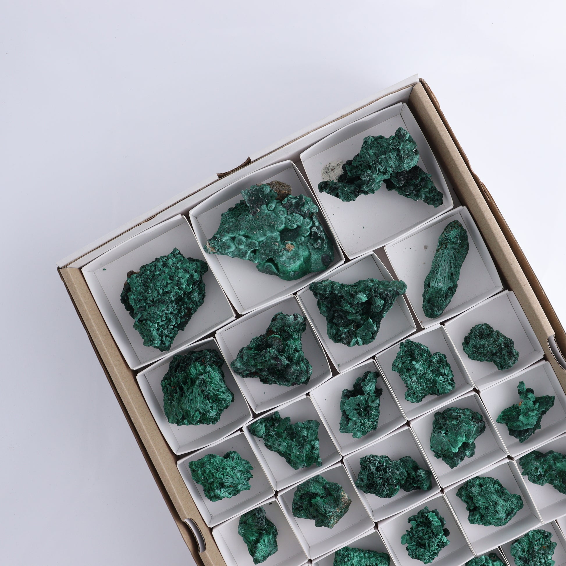 Malachite Flat of 34 - Expert Wholesale and Supplier of Wholesale Crystals & Bulk Gemstones, ["Congo","Flats","Malachite"]