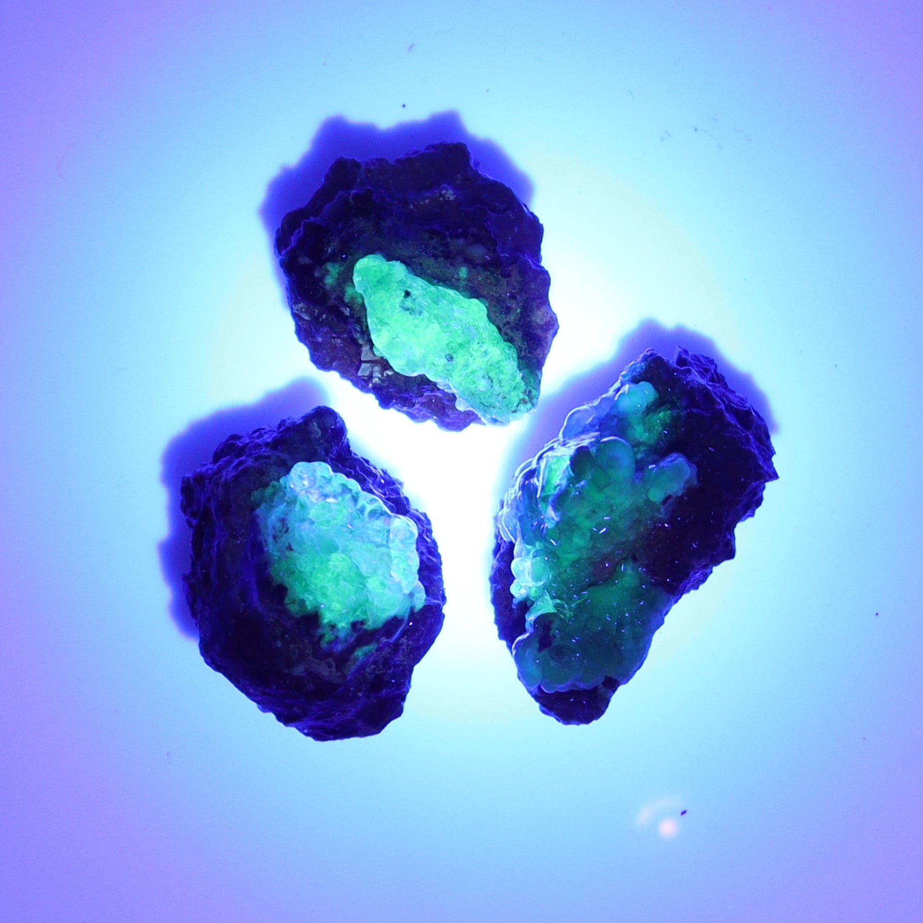 Hyalite Opal Set of 28 - Expert Wholesale and Supplier of Wholesale Crystals & Bulk Gemstones, ["close_30","Flats","Halite","Hyalite Opal","Mexico","Opal"]