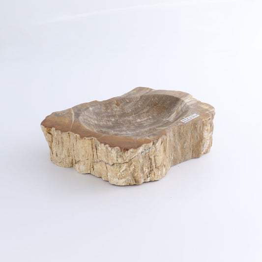 One Petrified Wood Brown Rough Bowl