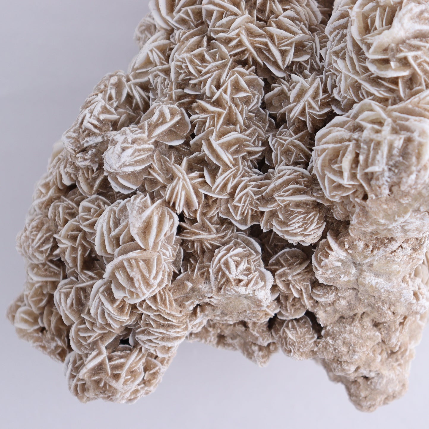 Desert Rose Cluster - Expert Wholesale and Supplier of Wholesale Crystals & Bulk Gemstones, ["Desert Rose","Freeforms"]