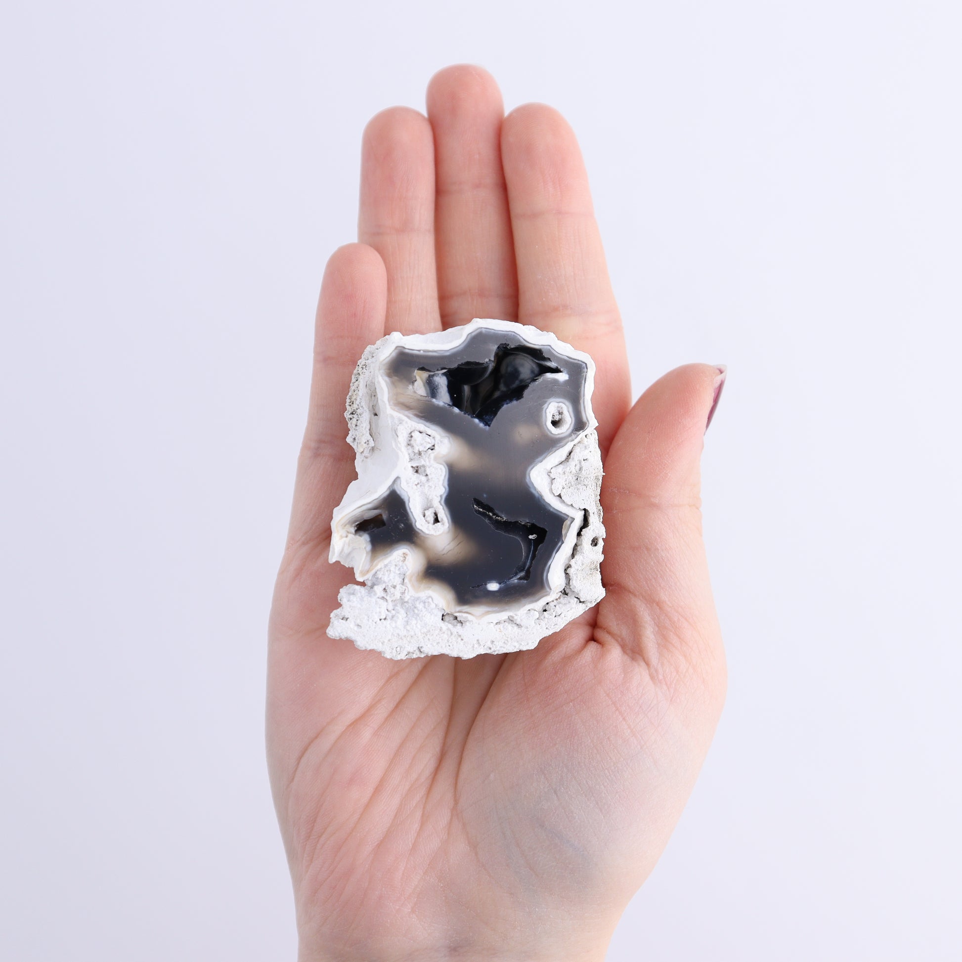 Agatized Coral Flat - Expert Wholesale and Supplier of Wholesale Crystals & Bulk Gemstones, ["Agate","Agatized Coral","Coral","United States"]