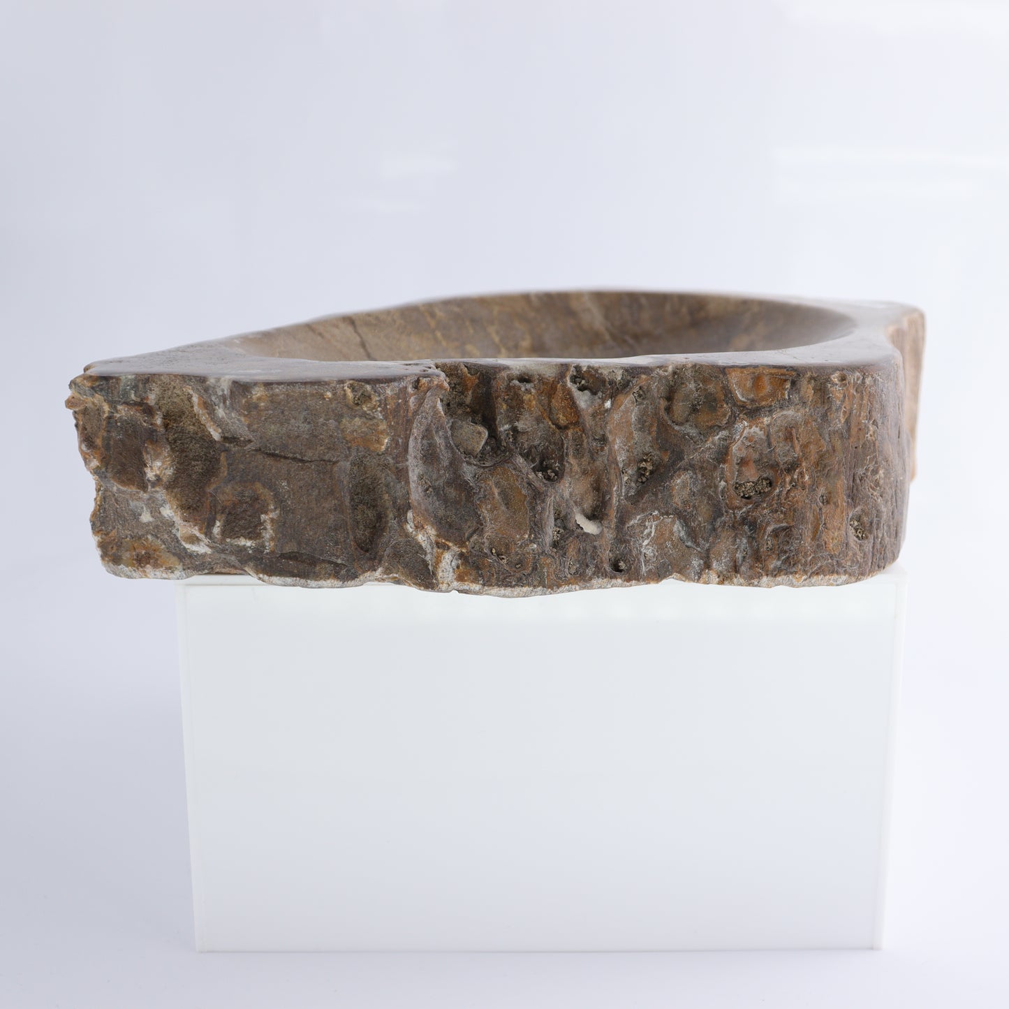 Bowl Petrified Wood - Expert Wholesale and Supplier of Wholesale Crystals & Bulk Gemstones, ["Bowls","Indonesia","Petrified Wood"]