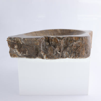 Bowl Petrified Wood - Expert Wholesale and Supplier of Wholesale Crystals & Bulk Gemstones, ["Bowls","Indonesia","Petrified Wood"]