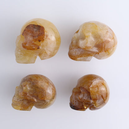 Golden Healer Skulls Set of 4