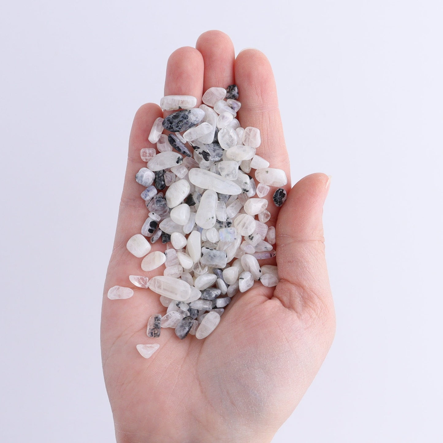 Rainbow Moonstone Chips 1 kg Set - Expert Wholesale and Supplier of Wholesale Crystals & Bulk Gemstones, ["Chips","Moonstone","Rainbow Moonstone"]