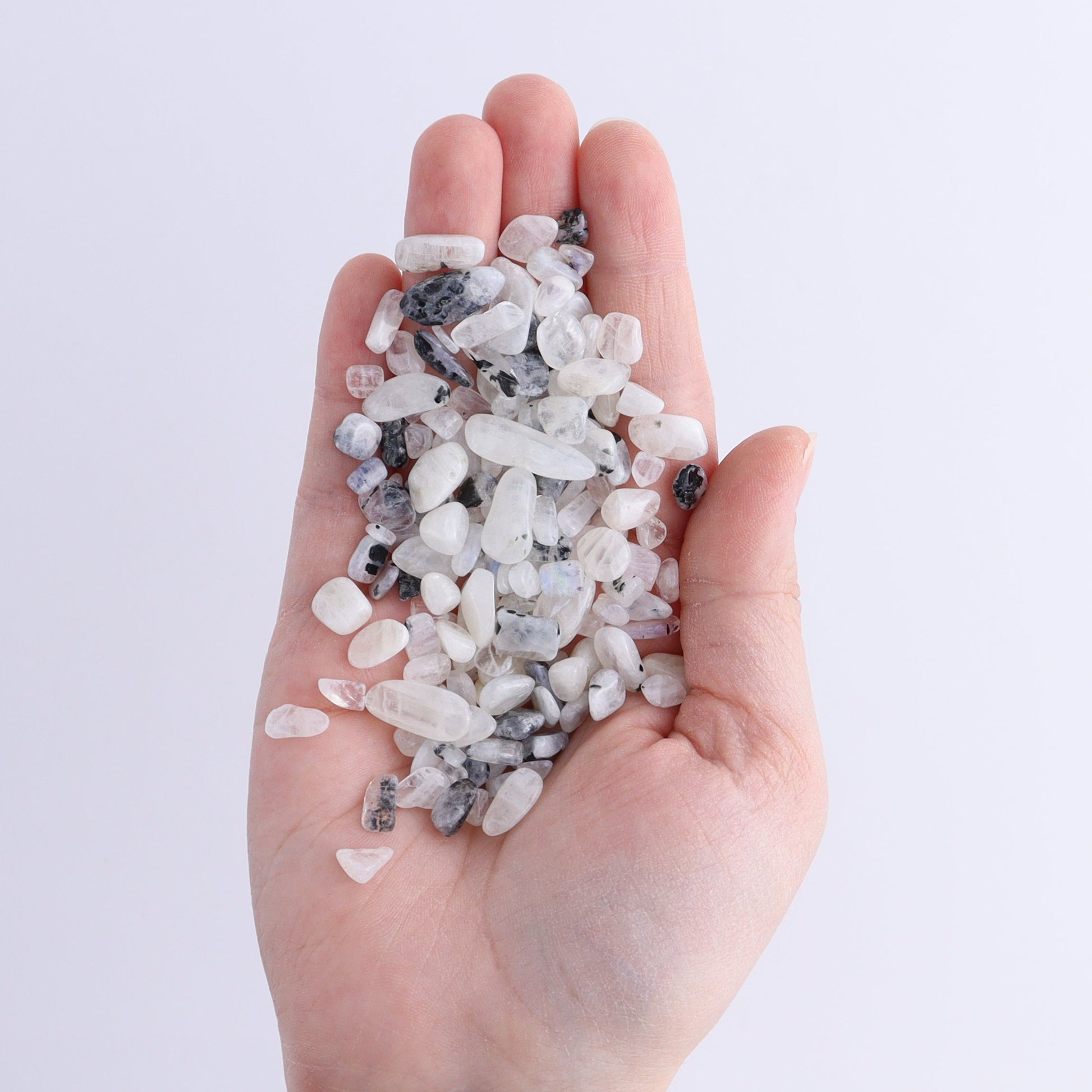 Rainbow Moonstone Chips 1 kg Set - Expert Wholesale and Supplier of Wholesale Crystals & Bulk Gemstones, ["Chips","Moonstone","Rainbow Moonstone"]