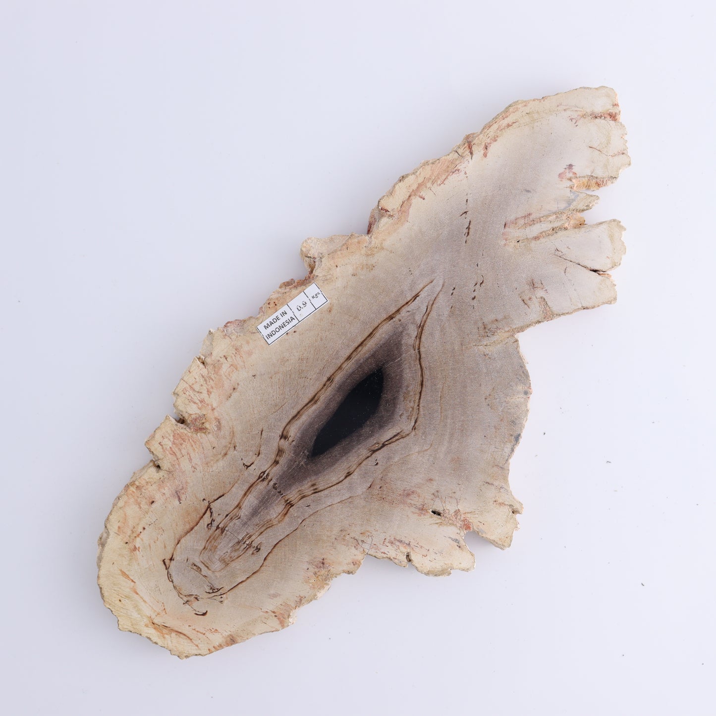 Petrified Wood Slices & Slabs Set of 3 - Expert Wholesale and Supplier of Wholesale Crystals & Bulk Gemstones, ["Freeforms","Indonesia","Petrified Wood","Slices and Slabs"]