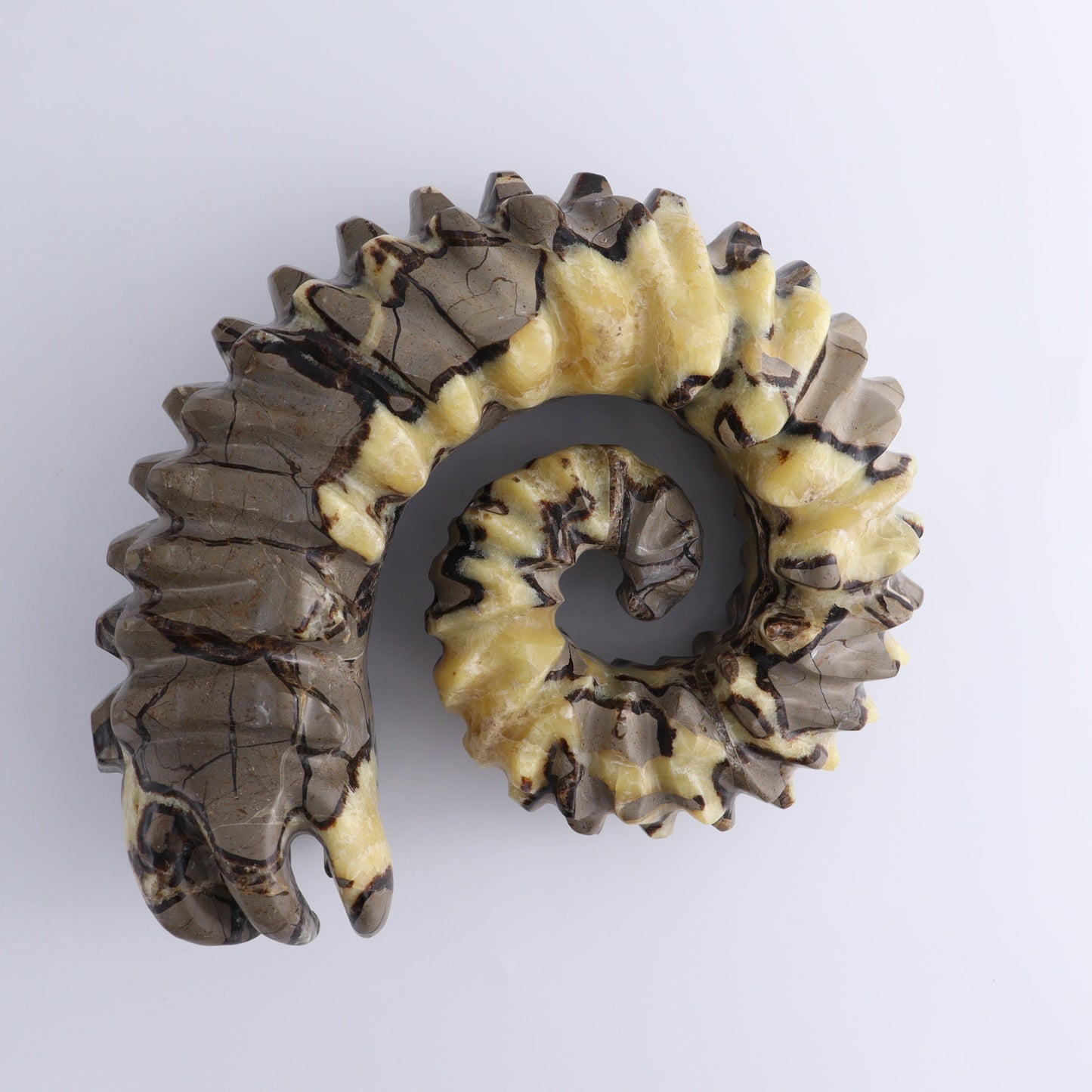 Septarian Mixed Carving - Expert Wholesale and Supplier of Wholesale Crystals & Bulk Gemstones, ["Madagascar","Septarian"]