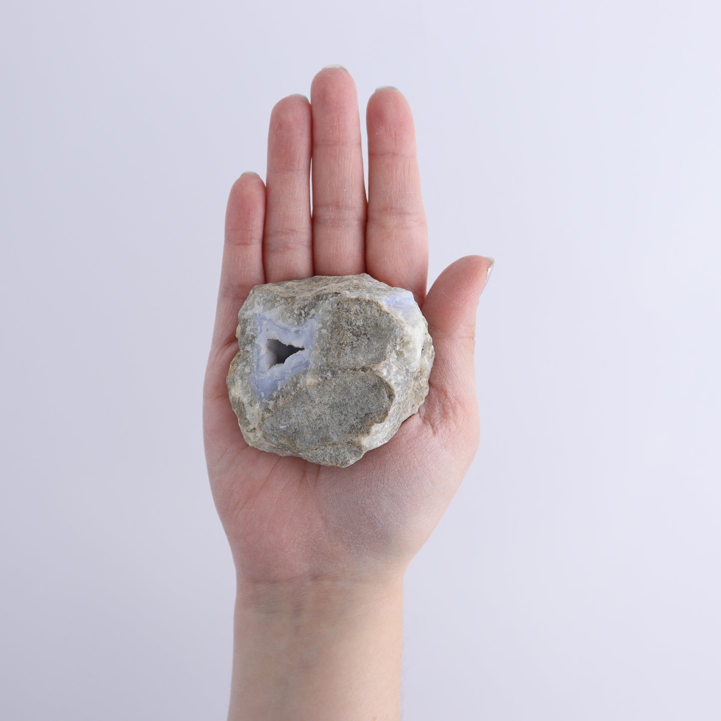 Blue Lace Agate Freeforms Set of 12