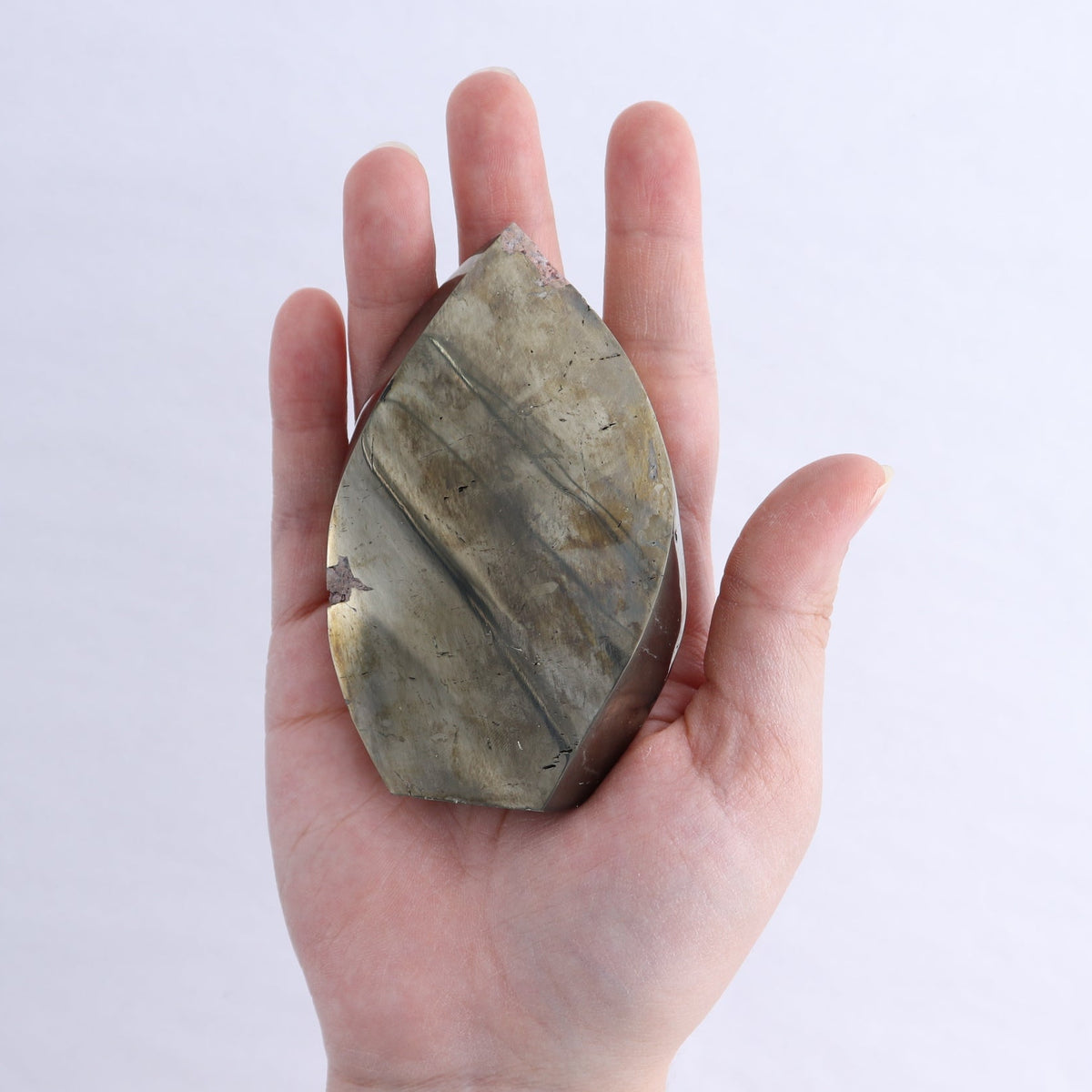 Pyrite Freeforms Set of 4