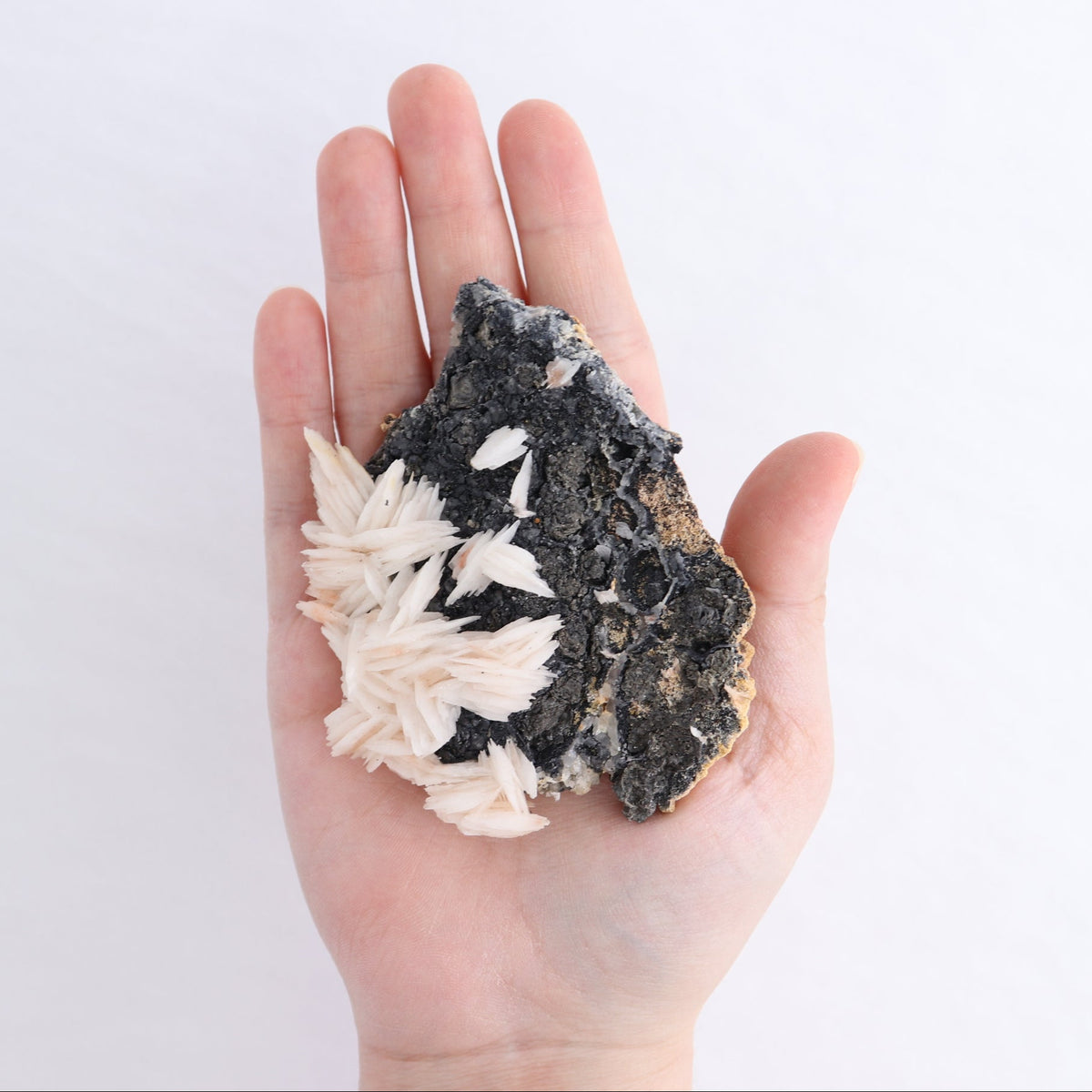 Mixed Minerals Flat from Morocco