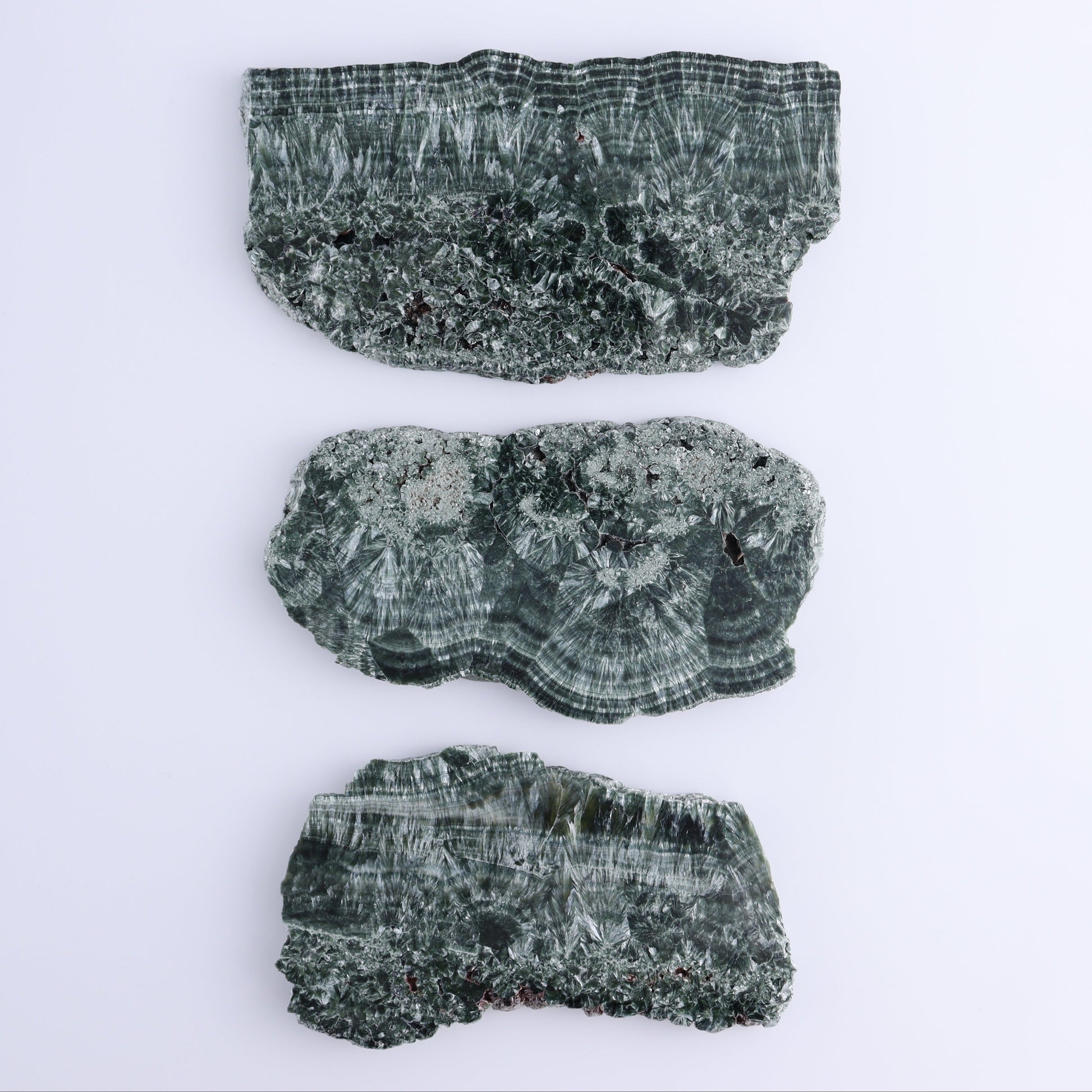 Seraphinite Slices Set of 3 - Expert Wholesale and Supplier of Wholesale Crystals & Bulk Gemstones, ["Russia","Seraphinite","Slices and Slabs"]