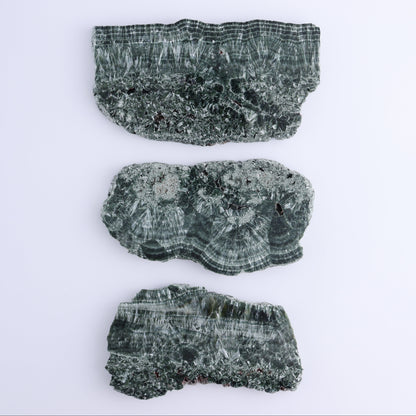 Seraphinite Slices Set of 3 - Expert Wholesale and Supplier of Wholesale Crystals & Bulk Gemstones, ["Russia","Seraphinite","Slices and Slabs"]