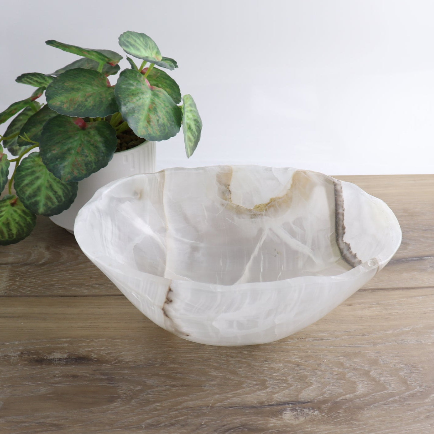 Mexican Onyx/Calcite Bowl 10"