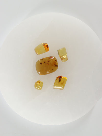 Chiapas Amber Cabs Set of 5