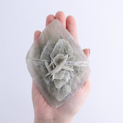 Selenite Clusters Set of 8 - Expert Wholesale and Supplier of Wholesale Crystals & Bulk Gemstones, ["Clusters","selenite"]