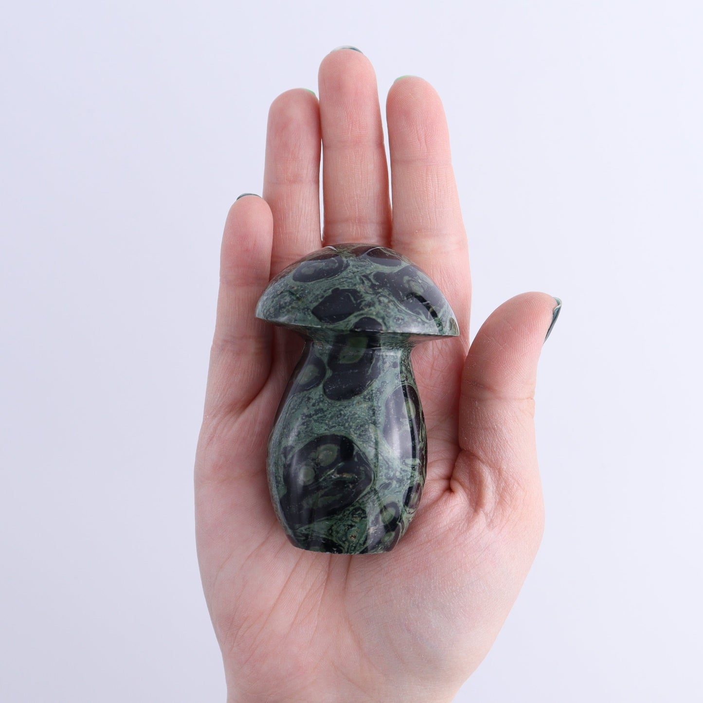 Kambaba Jasper Mushrooms Set of 7 - Expert Wholesale and Supplier of Wholesale Crystals & Bulk Gemstones, ["Kambaba Jasper","Madagascar","Mushrooms"]