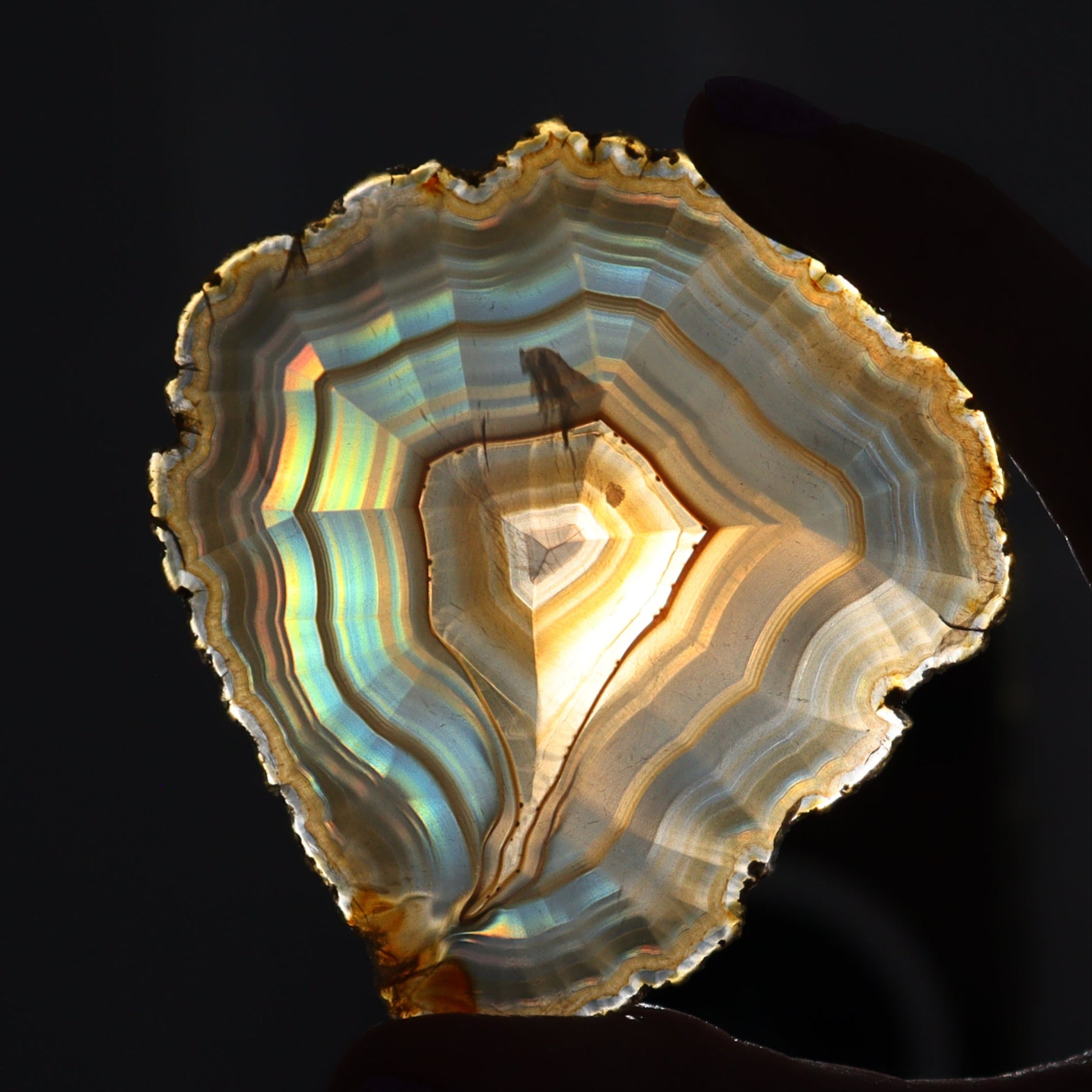 Iris Agate Slices Set of 6 - Expert Wholesale and Supplier of Wholesale Crystals & Bulk Gemstones, ["Agate","Iris Agate","Slices and Slabs"]